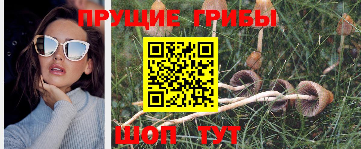 Галлюциногенные грибы Psilocybe  Вход с VPN  Партизанск 