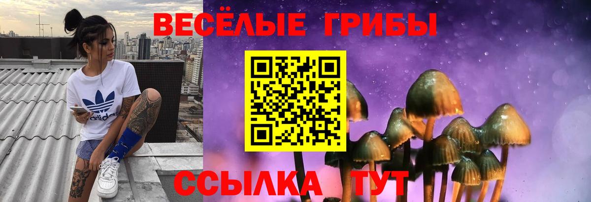 Галлюциногенные грибы Psilocybine cubensis Партизанск